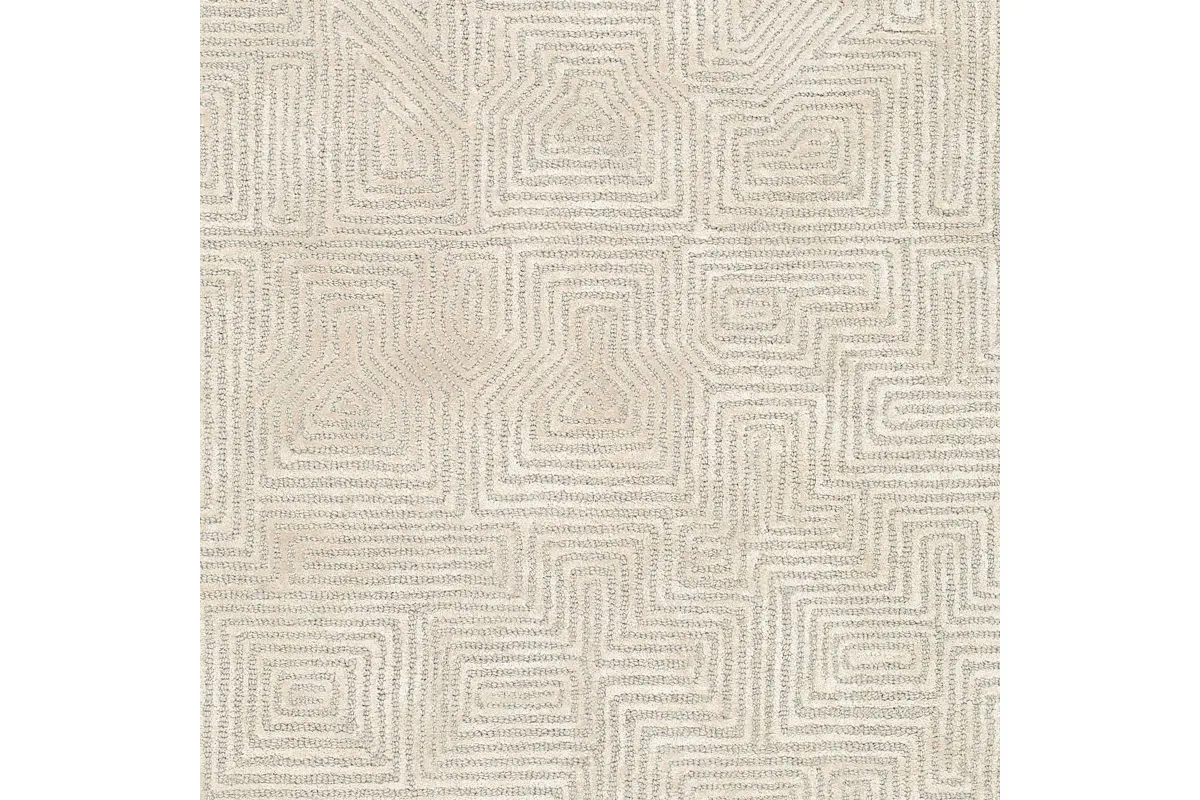 Adeline Indoor Hand Tufted Rug