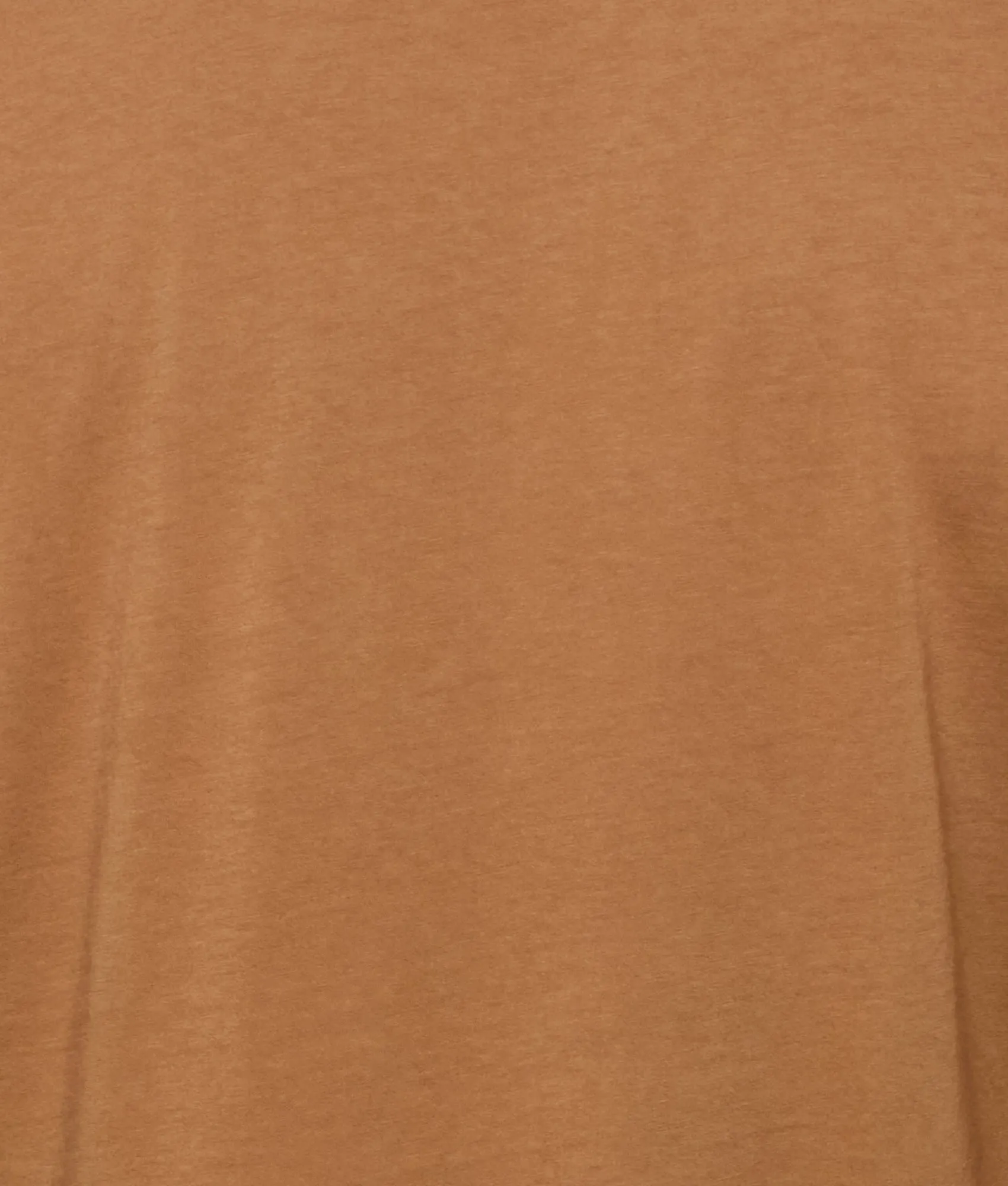 Cisco Tee :: Dirt Brown