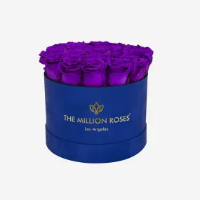 Classic Royal Blue Suede Box | Bright Purple Roses