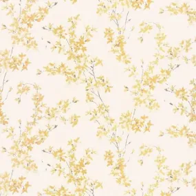 Forsythia Sunshine Wallpaper