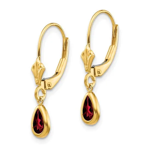 Garnet Drop Earrings in Gold