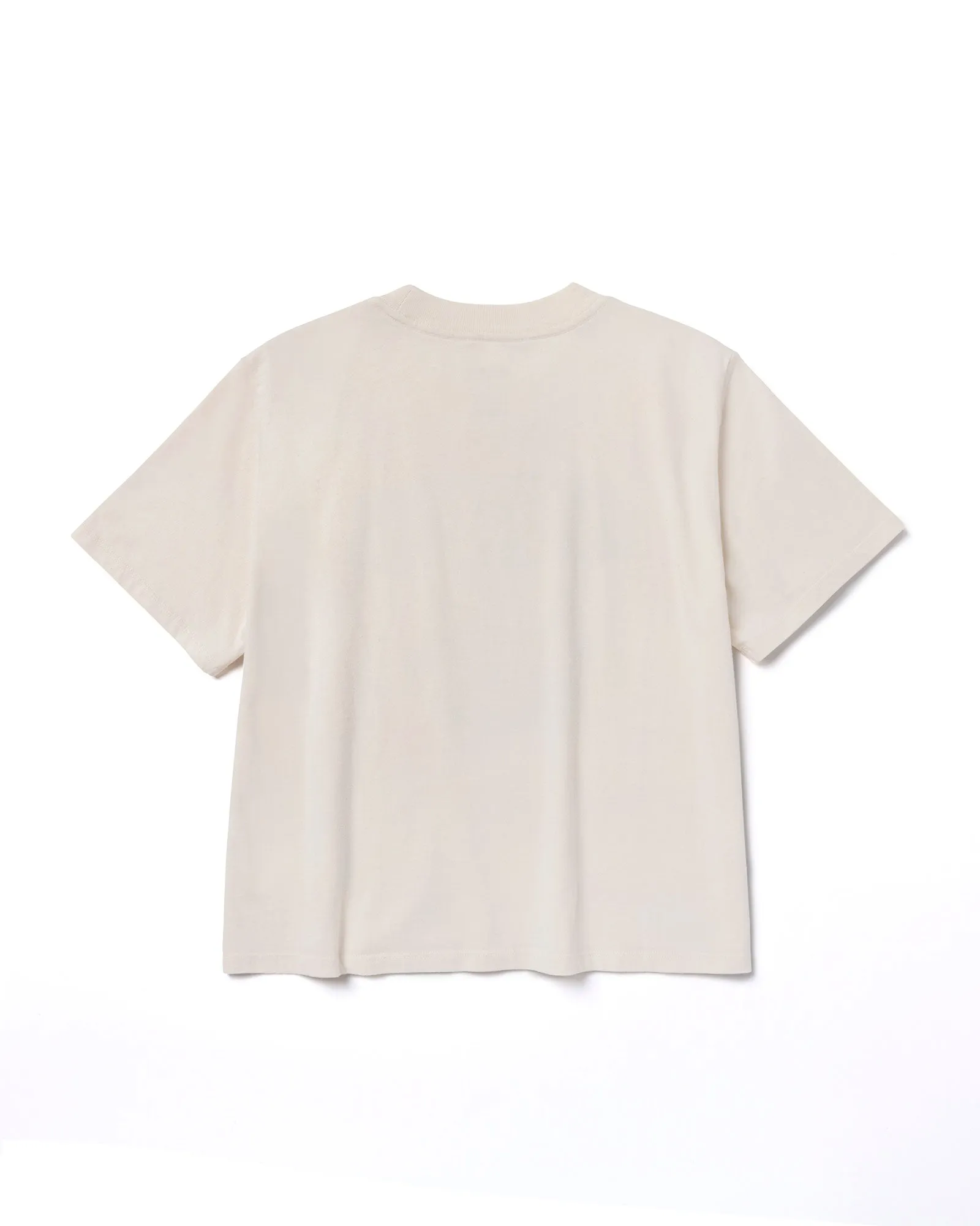 Joshua Tree Trip Boxy Tee