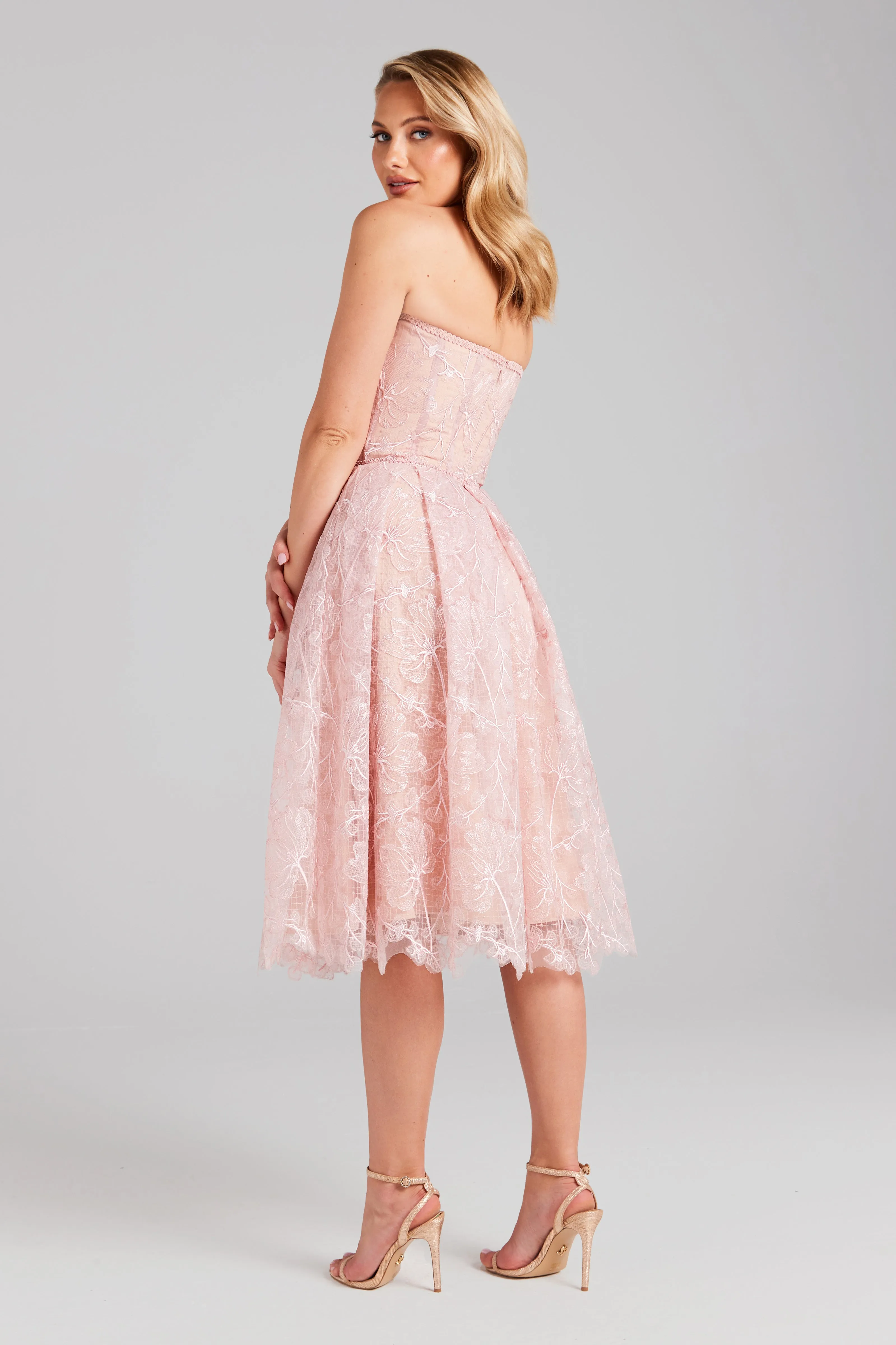 Olivia Blush Dress